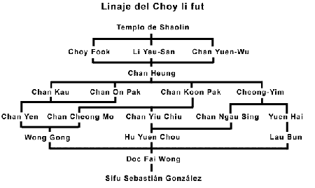 6 choy_lin
