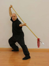 Curso de Tai Chi Chuan "La forma de Lanza"