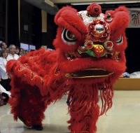 LION DANCE TEAM