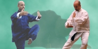 CLASSES DE QIGONG