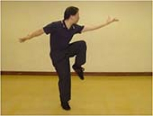 Baguazhang, las palmas madre