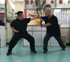 Maestro Too Sum de Choy Li Fut
