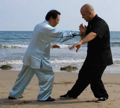 El empuje de manos en Tai Chi Chuan &quot;Tui Shous&quot;
