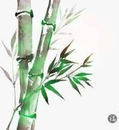 CHINESE CALLIGRAPHY AND SUMIE PAINTING CLASSES AND WORKSHOP