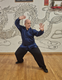 Curso de Yiquan para la Salud