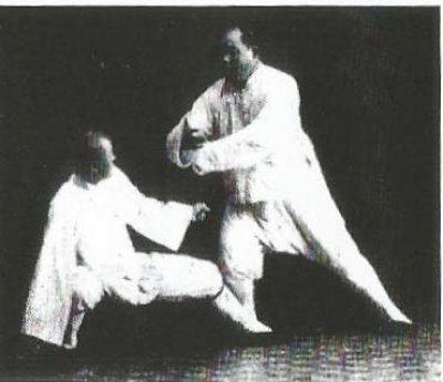 Ging “La fuerza del Tai Chi Chuan”