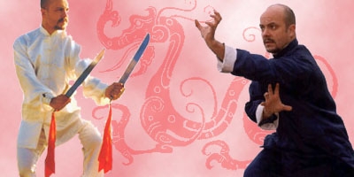 CHOY LI FUT KUNGFU CLASSES